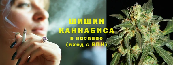 дживик Магас