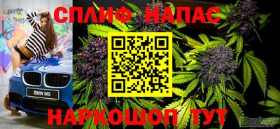 mdma Камышлов